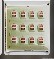 Poster sheet showing twelve stamp images with Ox design, registration bars visible
