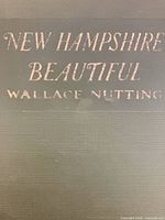 Close-up of gilt title and author on cover