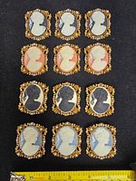 All 12 cameo brooches laid out with ruler for scale