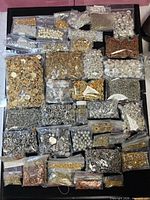 Overall view of all plastic bags filled with various metal findings on black tray