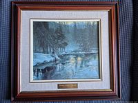 Full view of framed Robert Bateman print