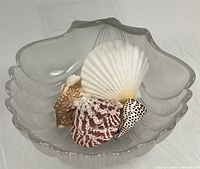 Top view of frosted glass clamshell bowl with four seashells inside