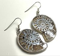 Front view of both ammonite earrings showing silver overlay and hooks