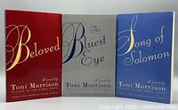 Front covers of all three novels