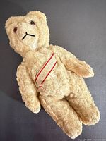 Full view of teddy bear front lying flat