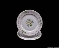 Front view of two Rosenthal Fantasia salad plates showing pattern and rim design
