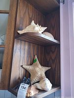Overall lot showing shells, starfish, figurines on shelf