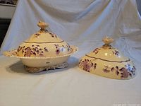 Bowl with primary lid and separate spare lid showing full set