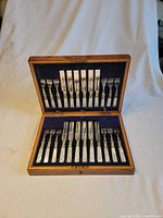 Open case showing full set of knives and forks in fitted slots