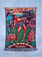 Full view of tapestry hanging showing entire design and fringe