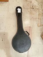 closed black banjo case top view