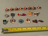 All 20 pins laid out with ruler for scale