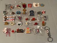 overview of 30 hockey pins and keychain laid out on table, many in plastic sleeves