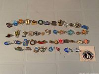 All 46 pins laid out in rows with peel-and-stick badge