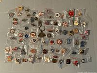 Overview of all 66 hockey pins in plastic sleeves