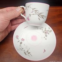 Cup resting inside saucer showing overall design and scale