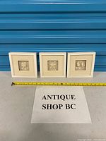 all three framed seashell art pieces with tape measure for scale