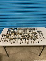 Full lot spread on table showing quantity and variety