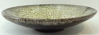 Side profile of shallow speckled glaze bowl showing foot and rim