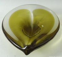 Top view showing leaf shape and color