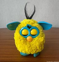 Front view showing yellow fur, blue faceplate, orange beak, eyes, and hair tuft