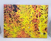 Front view of framed canvas print