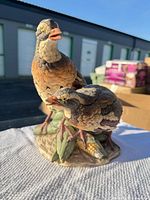 Front angled view showing both birds and base