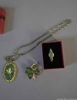 Overview of necklace, brooch, and ring