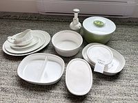 Full lot overview on carpet showing all porcelain pieces, plastic lidded dishes, vacuum bowl and pump