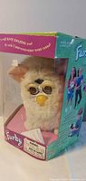 Front three-quarter view of Furby inside original windowed box
