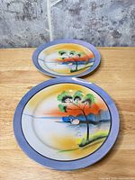 Both plates top view showing artwork and rims