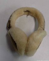 Full view of earmuffs pair