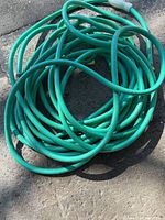 Coiled green vinyl garden hose overall view