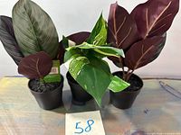 Front view of three small potted artificial plants