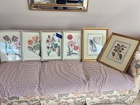 Front view of five framed prints on bench