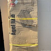 Full view of sealed box showing Angel Line branding and strapped packaging