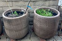 Both Campania planters side by side showing size and exterior texture