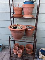 Overall view showing all terracotta pots, saucers and succulents on stand