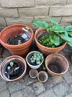 Group view of all seven terracotta pots showing relative sizes