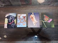 All four photographic postcard prints arranged side by side on table