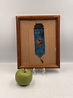 Full view of framed ribbon with scale apple