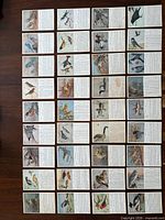 Full layout of 36 bird postcards arranged in grid.