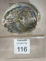 Full view of abalone shell on clear stand displaying iridescent interior