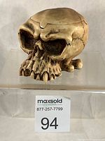 Front three-quarter view of resin skull box showing overall form and lid seam