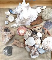 overview of entire collection laid out