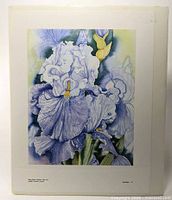Full view of matted limited edition iris print