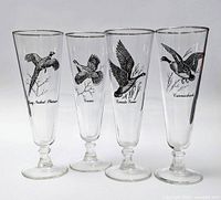 Front view of all four bird pilsner glasses standing