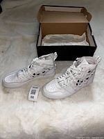 Full view of both sneakers with box