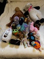 Group shot of entire lot arranged on white surface