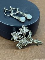 Brooch front and earrings front on case